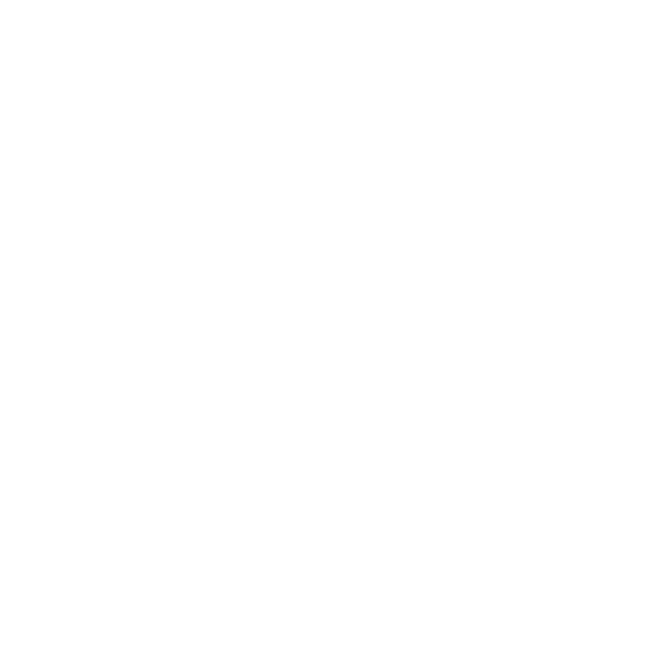 American Solar@2x