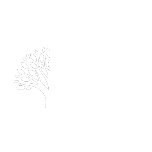 Blue-Aspen@2x